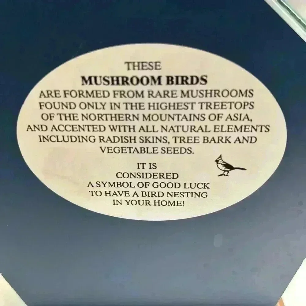 Mushroom Birds From Rare Mushrooms Music Box Vintage